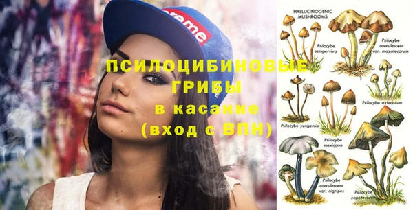 бошки Алзамай
